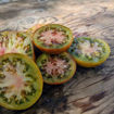 Golova Negra Tomato