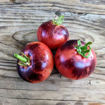 H34 Rose, ‘Soeur des Coeurs’ Tomato