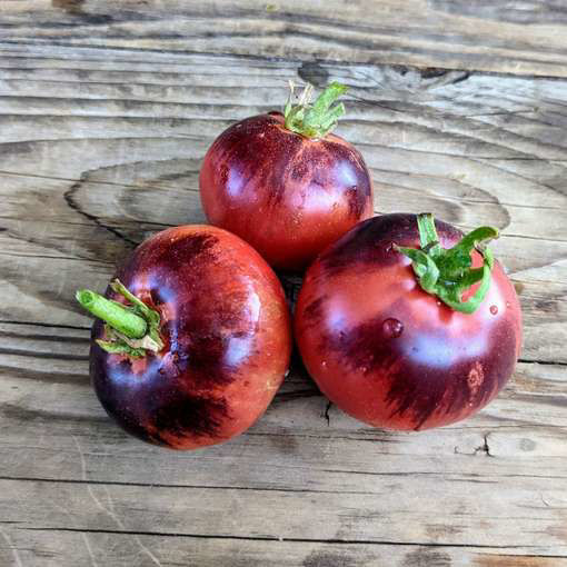 H34 Rose, ‘Soeur des Coeurs’ Tomato