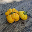 Jaune Cotelee de Montlouis Tomato