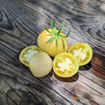 Lotus Tomato