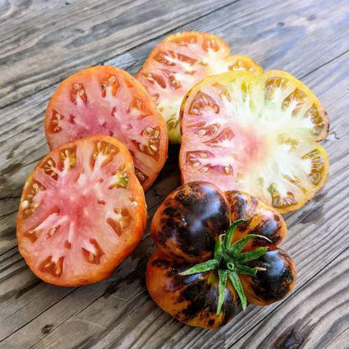 Marmande Blue Tomato