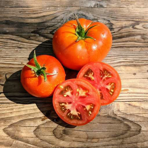 Meteora Tomato