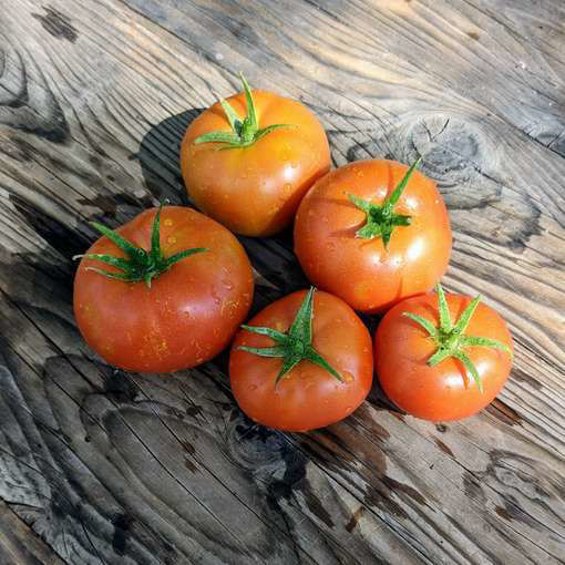 Meteora Tomato-Meraki Seeds