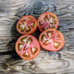Meteora Tomato