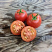 High Carotene Tomato