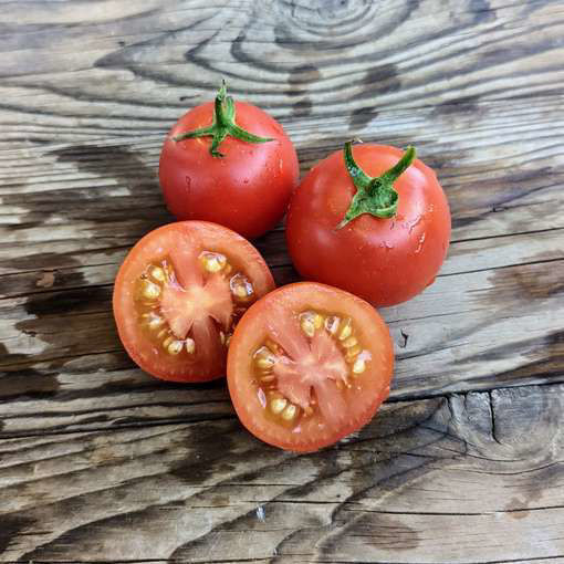 High Carotene Tomato