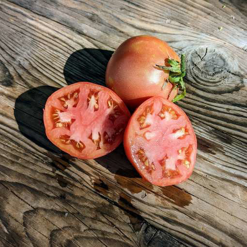 Perestroika Tomato