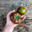 Reinhard's Black Zebra Tomato