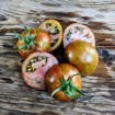 Reinhard's Black Zebra Tomato