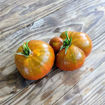 Strawberry Margarita Bicolor Tomato