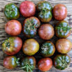 Tsygan Tomato
