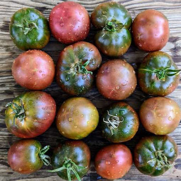 Tsygan Tomato Tsygan Tomato