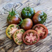 Tsygan Tomato