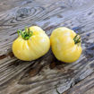 Altai White Beefsteak Tomato