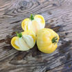 Altai White Beefsteak Tomato