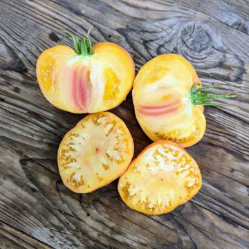 Armenian Beefsteak Tomato Armenian Beefsteak Tomato