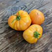 Armenian Beefsteak Tomato