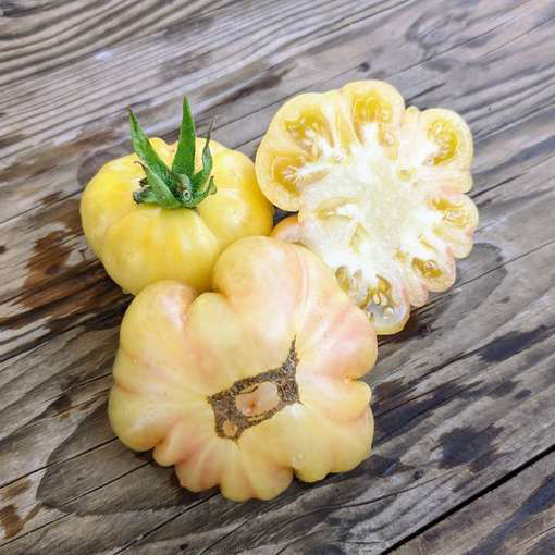Taylor Lacey Beefsteak Tomato