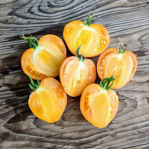 Amish Yellowish Orange Oxheart Beefsteak Tomato