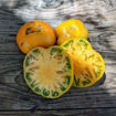Aunt Gertie’s Gold Beefsteak Tomato