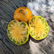 Aunt Gertie’s Gold Beefsteak Tomato