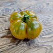 Malachite Box Beefsteak Tomato