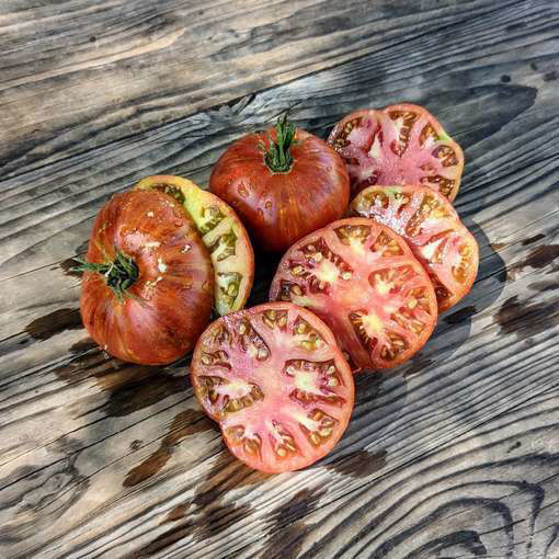 Alice's Dream Beefsteak Tomato
