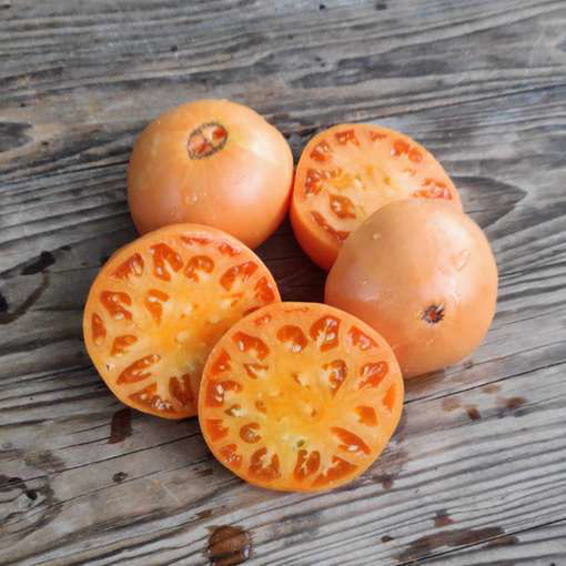 Amish Orange Sherbet Beefsteak Tomato
