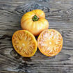 Amish Orange Sherbet Beefsteak Tomato