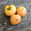 Amish Orange Sherbet Beefsteak Tomato