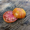 Beefy Red Beefsteak Tomato