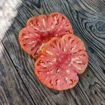 Beefy Red Beefsteak Tomato