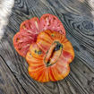 Beefy Red Beefsteak Tomato