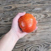 Colosso di Rodi Beefsteak Tomato