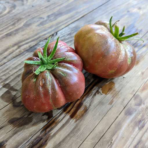 Jane´s Judy Clark Family Beefsteak Tomato