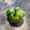 Johanna Beefsteak Tomato