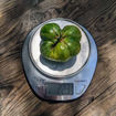 Johanna Beefsteak Tomato