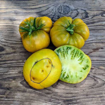 Bo Mango Beefsteak Tomato Bo Mango Beefsteak Tomato