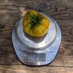 Bo Mango Beefsteak Tomato