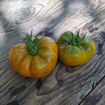 Bo Mango Beefsteak Tomato