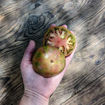 Dark Queen Beefsteak Tomato
