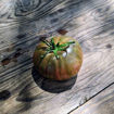 Dark Queen Beefsteak Tomato