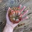 Iva's Purple Rust Beefsteak Tomato