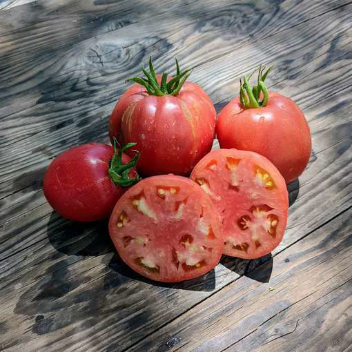 Kalman's Hungarian Pink Beefsteak Tomato