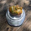 Blue Ridge Black Beefsteak Tomato