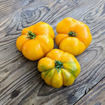 Kazakhstan Yellow Beefsteak Tomato