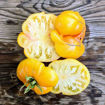 Kazakhstan Yellow Beefsteak Tomato