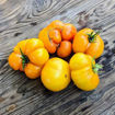 Kazakhstan Yellow Beefsteak Tomato
