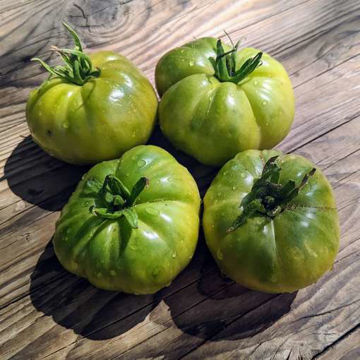 Lillian Marie Beefsteak Tomato Lillian Marie Beefsteak Tomato